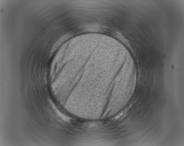 X0000062130106200601060908