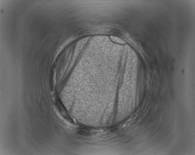 X0000062130107200601060907