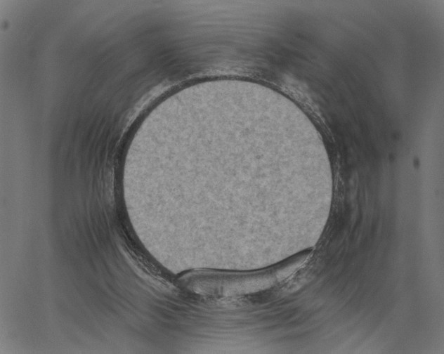 X0000062130108200601060907