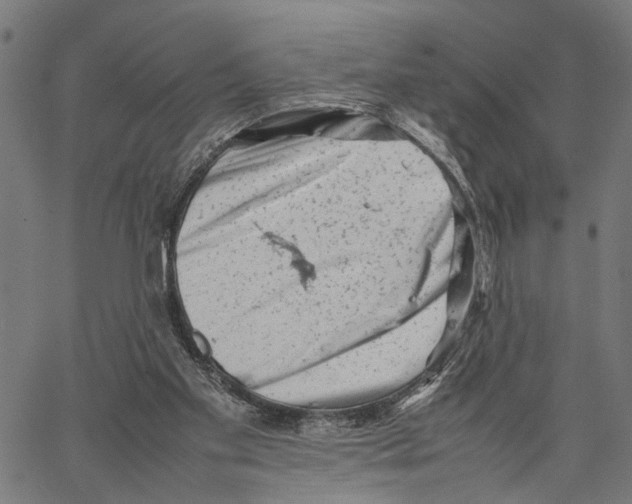 X0000062130109200601060907