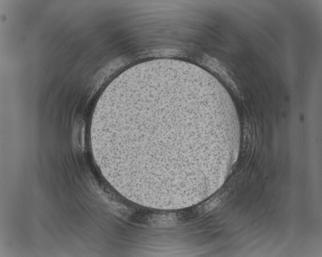 X0000062130110200601060907