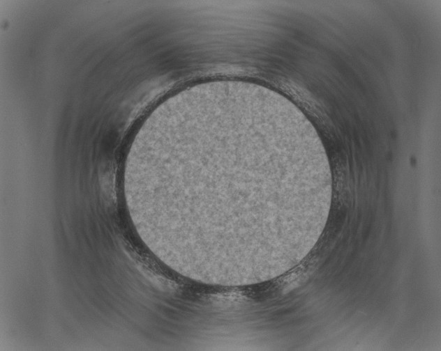 X0000062130112200601060907