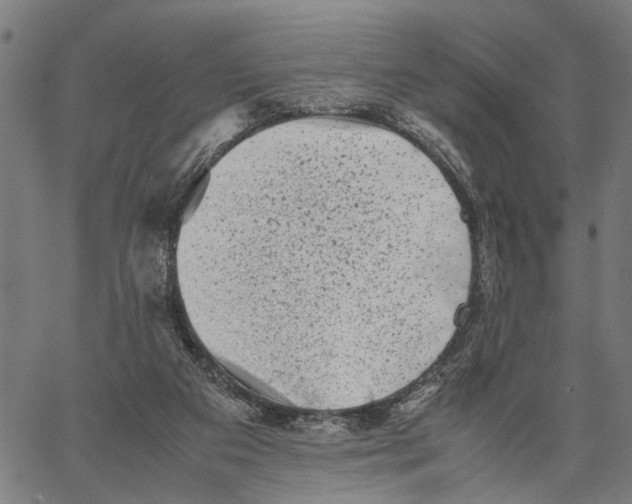 X0000062130113200601060907