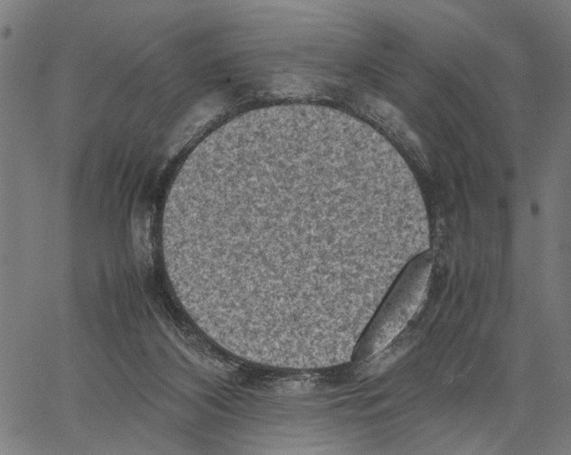 X0000062130116200601060907