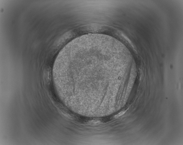 X0000062130119200601060907