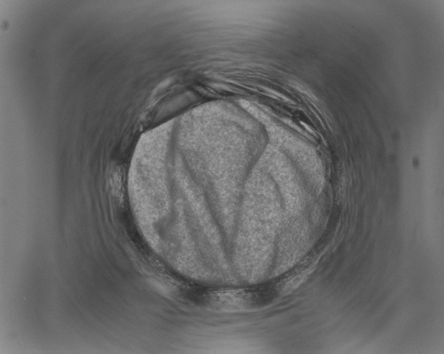 X0000062130121200601060907