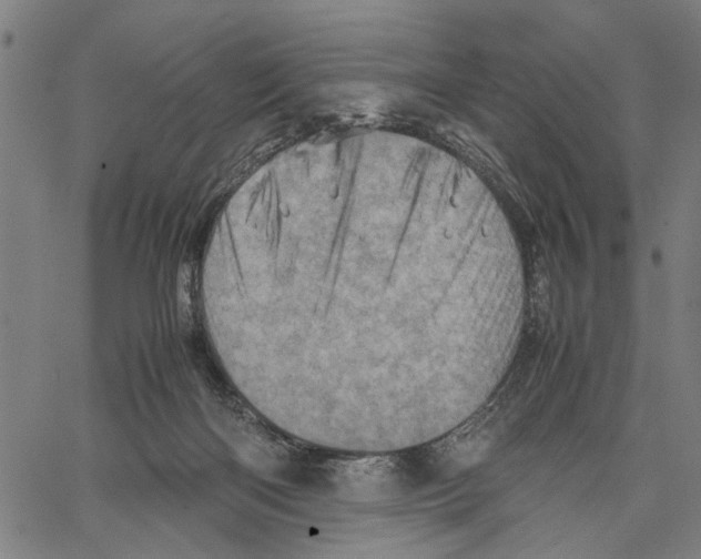 X0000062130122200601060907