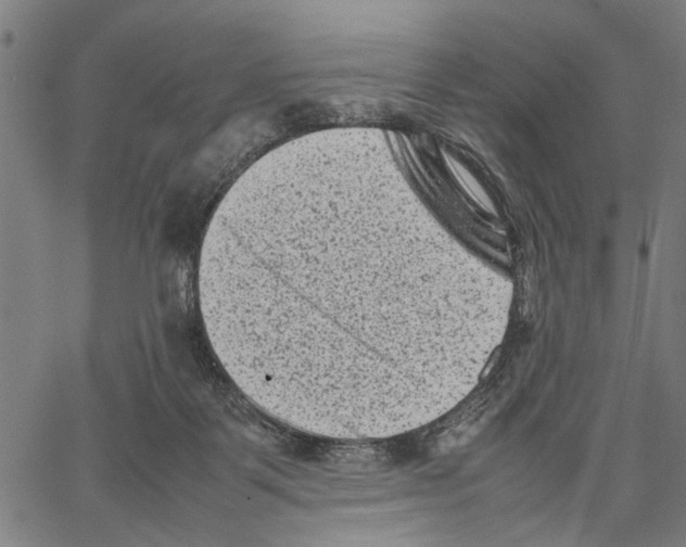 X0000062130123200601060907