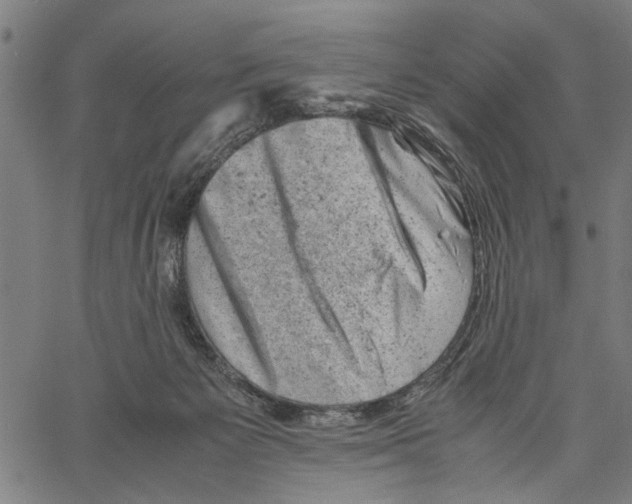 X0000062130125200601060907