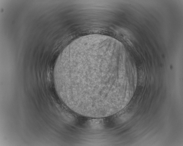 X0000062130126200601060907