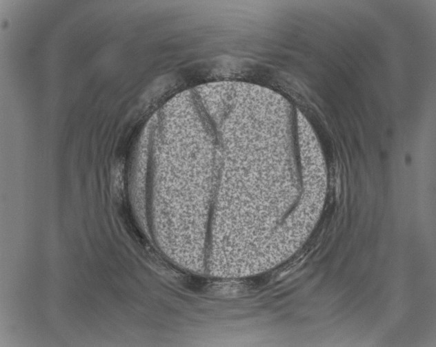 X0000062130127200601060907