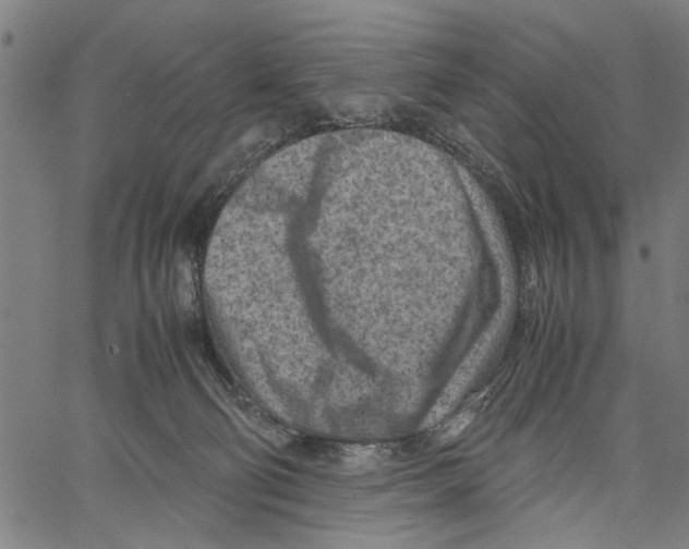 X0000062130130200601060907