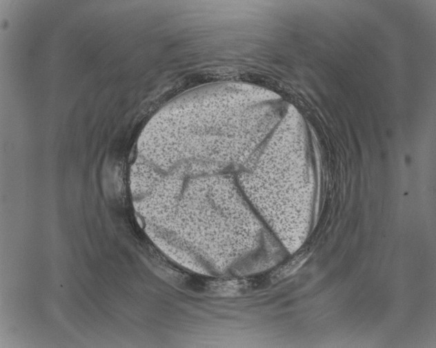 X0000062130131200601060907