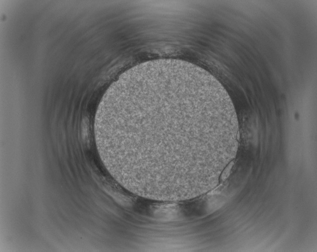 X0000062130132200601060907