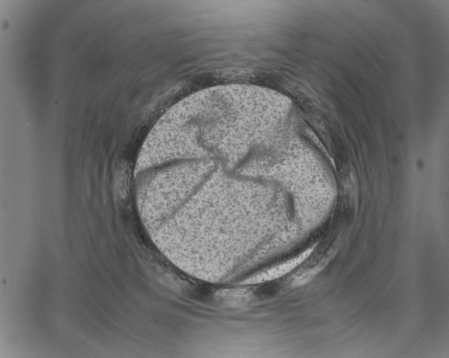 X0000062130133200601060907