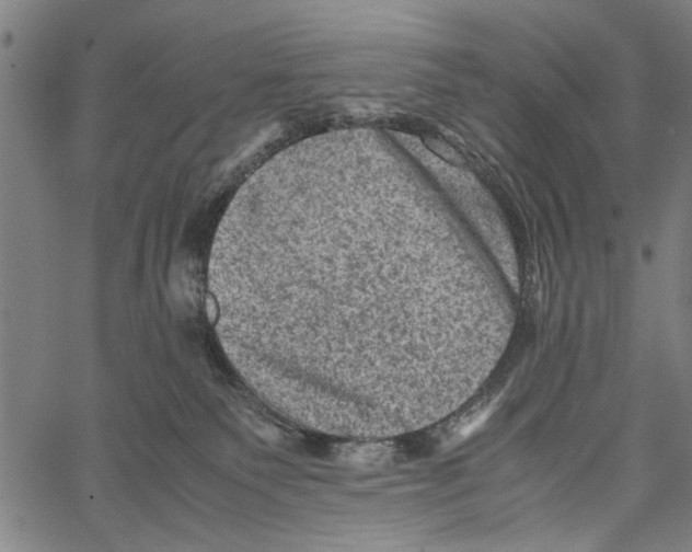 X0000062130135200601060907