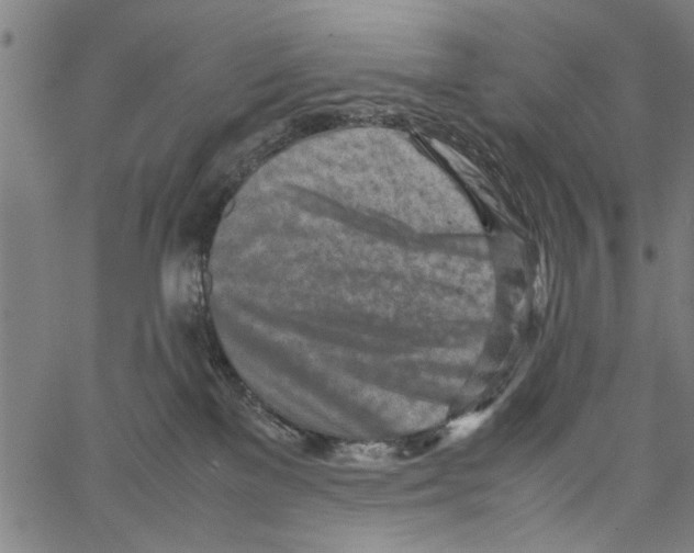 X0000062130137200601060907