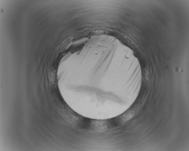 X0000062130139200601060907