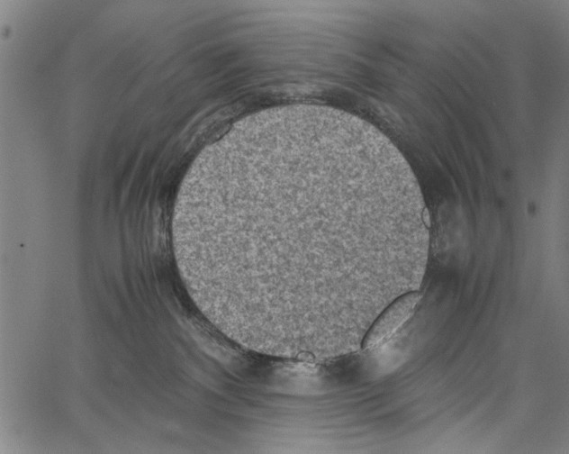 X0000062130140200601060907