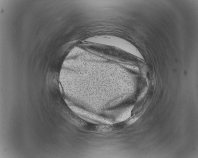 X0000062130141200601060907