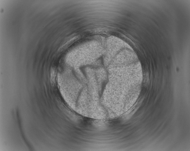 X0000062130142200601060907