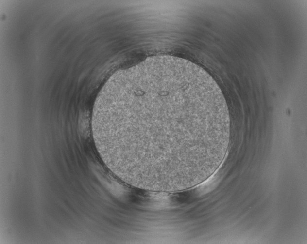 X0000062130144200601060907