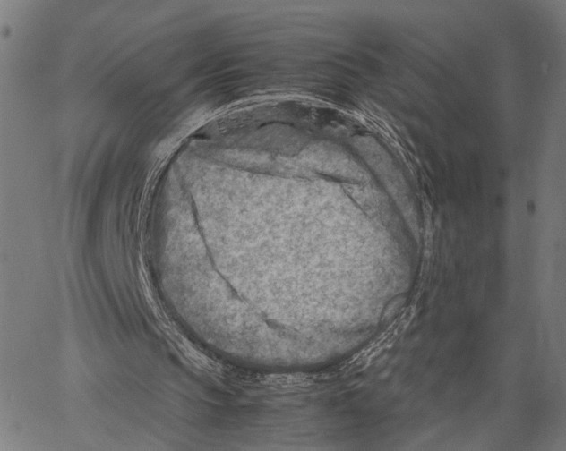 X0000062130145200601060906