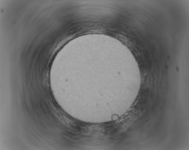 X0000062130146200601060906