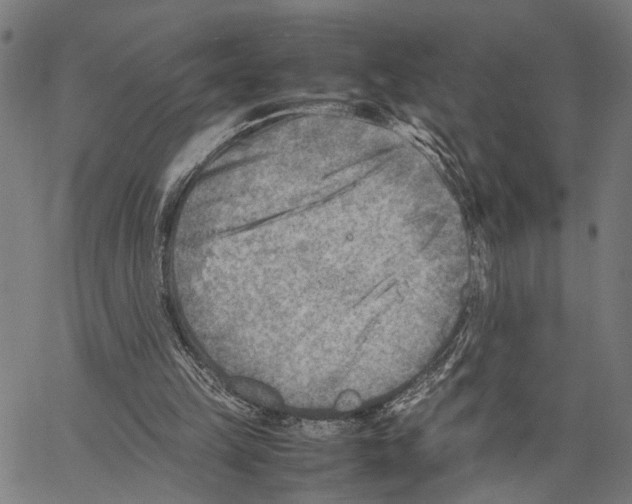 X0000062130149200601060906