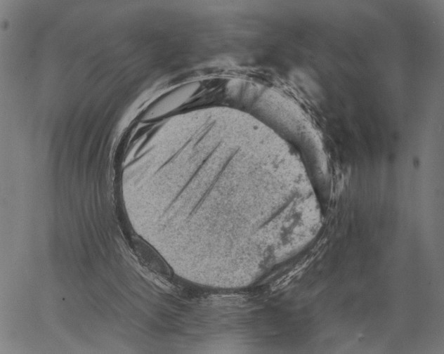 X0000062130150200601060906