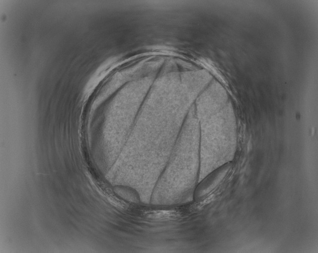 X0000062130151200601060906