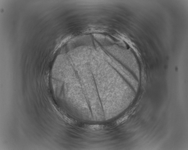 X0000062130153200601060906