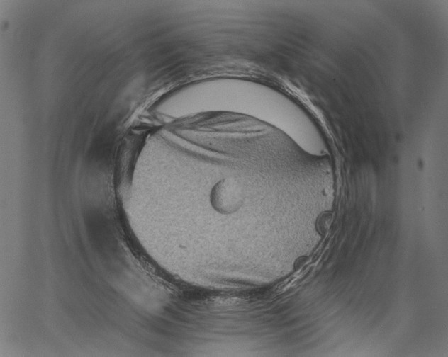 X0000062130154200601060906