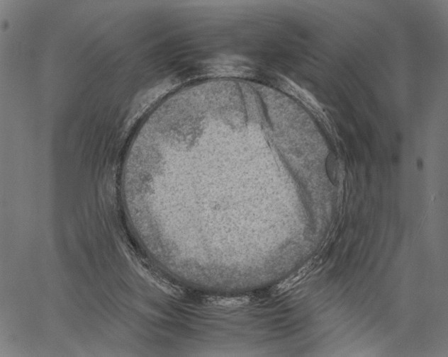 X0000062130155200601060906