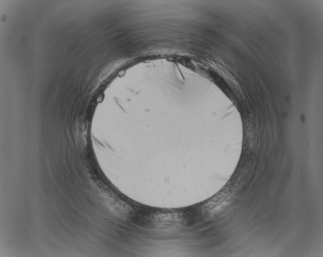 X0000062130160200601060906