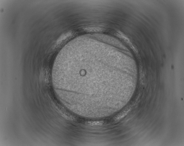 X0000062130161200601060906