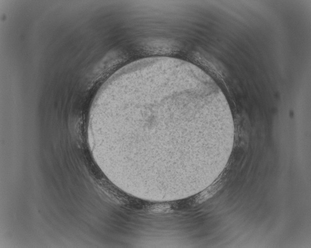 X0000062130162200601060906