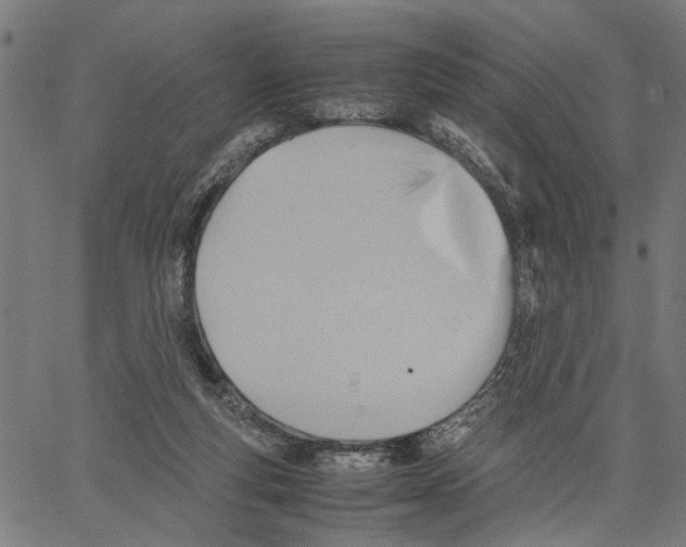 X0000062130163200601060906