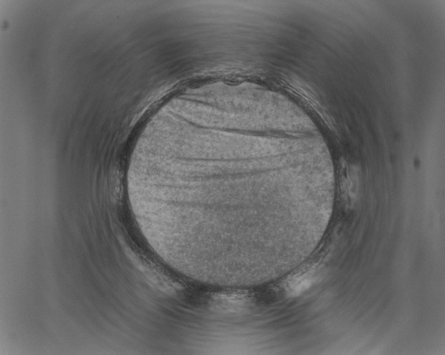 X0000062130164200601060906