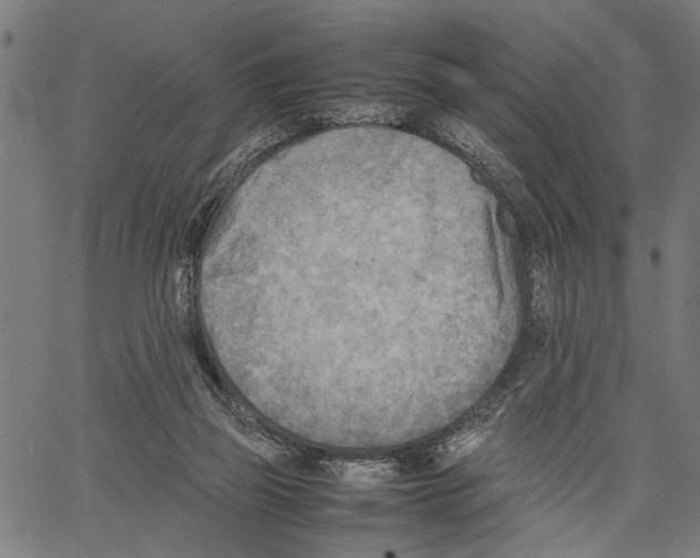 X0000062130165200601060906