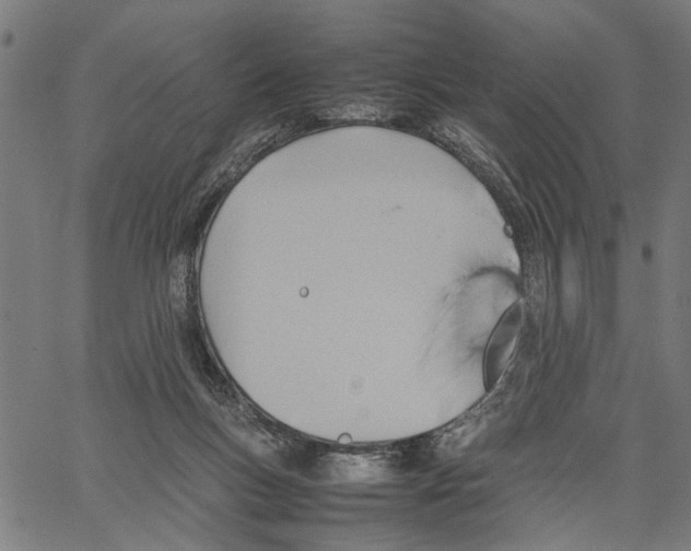 X0000062130167200601060906