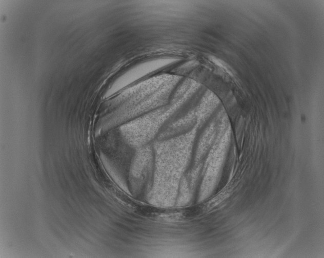 X0000062130168200601060906