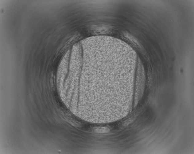 X0000062130169200601060906