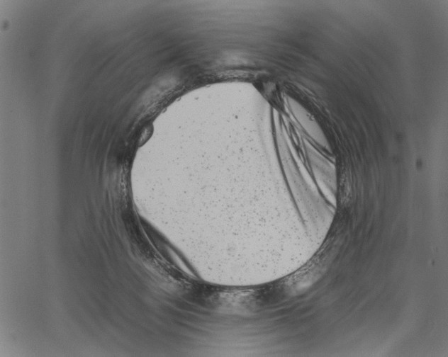 X0000062130172200601060907