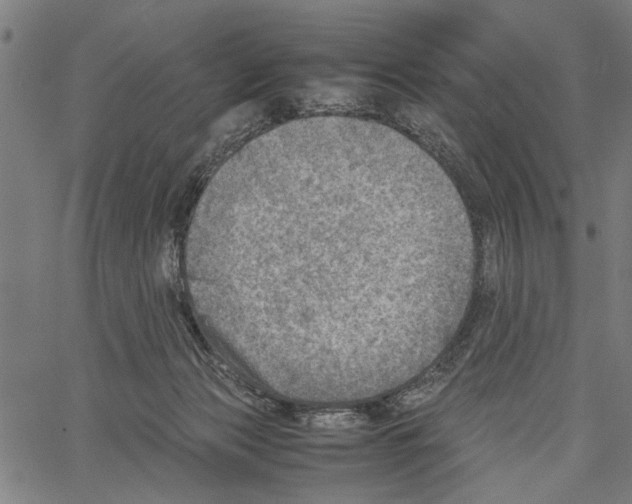 X0000062130173200601060907