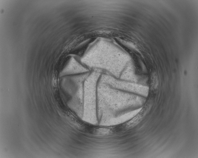 X0000062130176200601060907