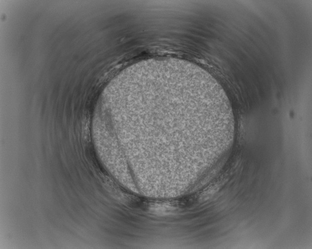 X0000062130177200601060907