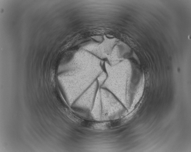 X0000062130178200601060907