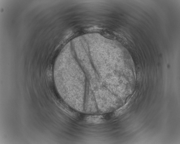 X0000062130179200601060907