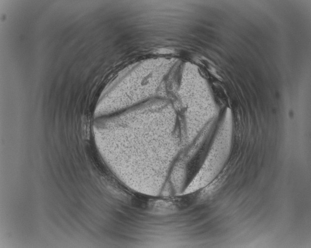 X0000062130180200601060907